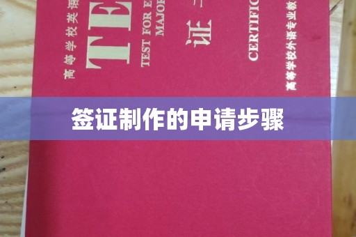 汉阴签证制作的申请步骤