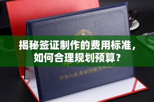 汉阴揭秘签证制作的费用标准，如何合理规划预算？