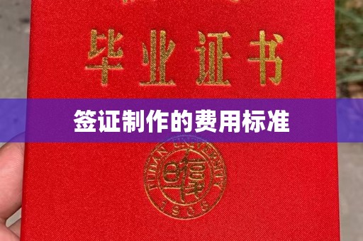 汉阴签证制作的费用标准