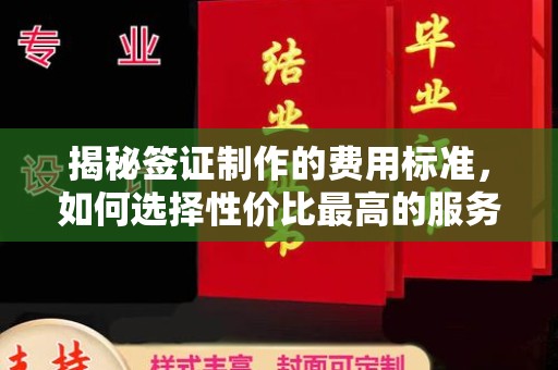 汉阴揭秘签证制作的费用标准，如何选择性价比最高的服务？