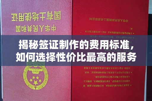 汉阴揭秘签证制作的费用标准，如何选择性价比最高的服务？