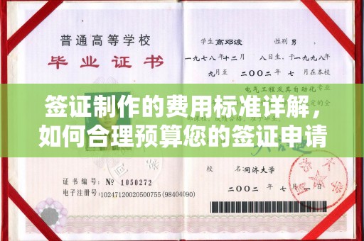 汉阴签证制作的费用标准详解，如何合理预算您的签证申请成本