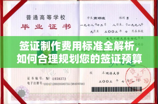 汉阴签证制作费用标准全解析，如何合理规划您的签证预算？